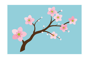 spring cherry blossom