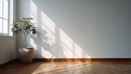 Fototapeta premium Sunlight streams into empty room