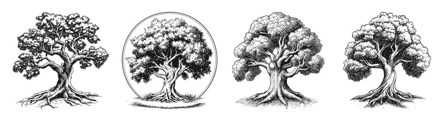 Vintage Tree Silhouette Engraving Designs for Family and Roots, vector illustration, engraving design, logo design set, black and white line, template design element