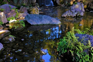 日本、東京、小石川後楽園、庭園、都立庭園、大名庭園、日本庭園、通天橋、池塘、綠色、風景、重要文化財、木造建築、写真素材