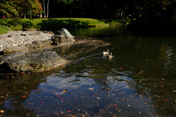 日本、東京、小石川後楽園、庭園、都立庭園、大名庭園、日本庭園、通天橋、池塘、綠色、風景、重要文化財、木造建築、写真素材