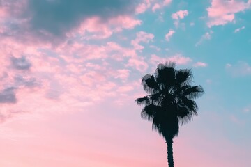 Obraz premium Silhouette Palm Tree Pink Sunset Sky Tropical Summer Vacation Sea Warm View Ocean Beach Relax Color 