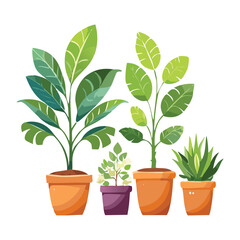 Assorted Houseplants in Colorful Pots