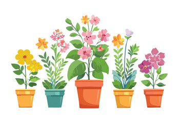 Colorful Spring Flowers in Clay Pots