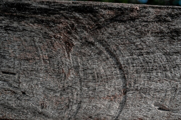 close-up captures the raw, weathered texture of wood, deeply marked by years of sun and rain exposure. Its intricate grain and distressed surface reveal a rich history, 