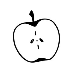 healthy fruit cross section line art