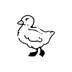 simple hand-drawn duck vector art