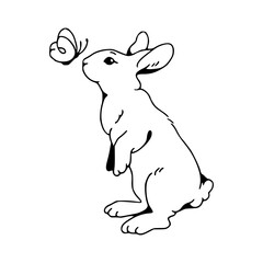 bunny with butterfly sketch illustration