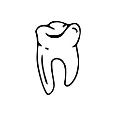 healthy tooth outline illustration