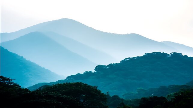 Blue hazy mountains with forested foothills - Powered by Adobe