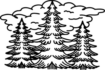 Evergreen forest illustration hand drawn pine trees with detailed branches and clouds, black and white sketch nature scene