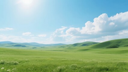 Fototapeta premium Vast Green Field Under a Bright Blue Sky