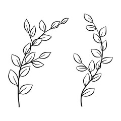 drawing floral leaves 