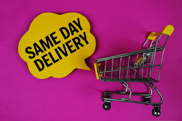 Same Day Delivery text with speech bubble and trolley shopping cart on pink background
