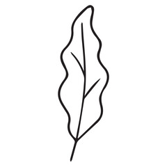 Minimalist black and white vector design featuring one leaf, outlined heavily in black, accentuating the simplicity and elegance of its natural shape.

