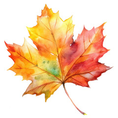 Fototapeta premium Watercolor maple leaf illustration for fall autumn season design with transparent background