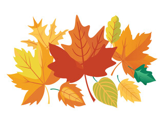 Obraz premium Autumn leaves collection isolated on white background 