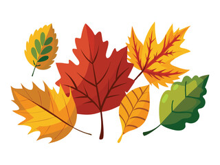 Obraz premium set of autumn leaves