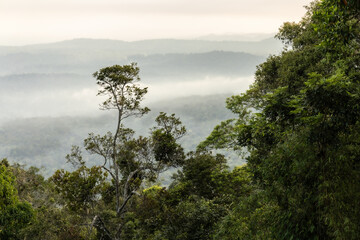 fog on the mountain