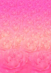 Pink damask rose flower pattern background