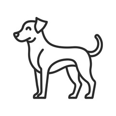 dog on white background