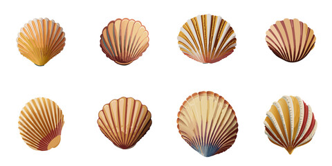 Multiple vector illustrations scallop

