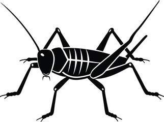 grasshopper on white background