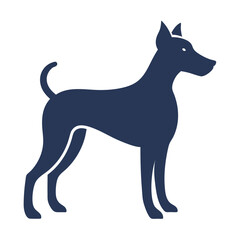 black dog isolated on white background