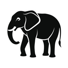 Elephant vector illustration