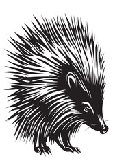 drawing of logo Porcupine Vector Images on white backgtound