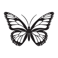 Black and white monarch butterfly illustration graphic design