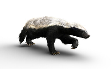 3d Illustration of a Honey Badger with Clipping path – Nature’s Most Fearless Predator