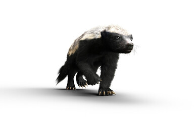 3d Illustration of a Honey Badger with Clipping path – Nature’s Most Fearless Predator