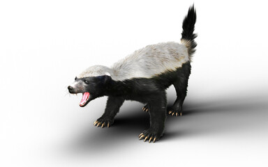 3d Illustration of a Honey Badger with Clipping path – Nature’s Most Fearless Predator