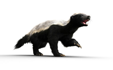 3d Illustration of a Honey Badger with Clipping path – Nature’s Most Fearless Predator