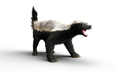 3d Illustration of a Honey Badger with Clipping path – Nature’s Most Fearless Predator