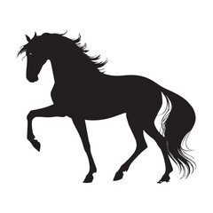 Majestic stallion silhouette elegant horse black profile