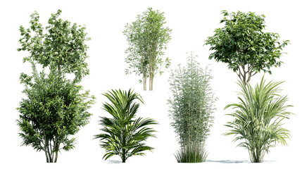 Seven Lush Green Tropical Plants on Transparent Background, PNG