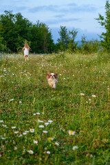 young woman in a field with flowers