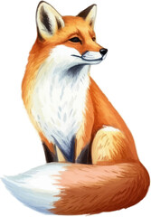 Fototapeta premium 여우