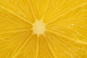 Close-up of orange slice on vibrant blue background

