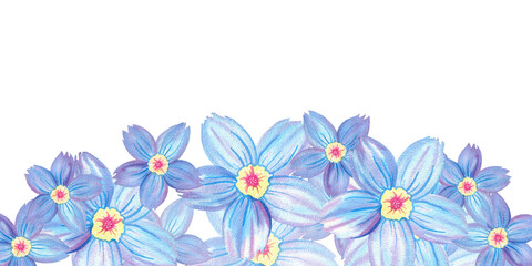 Horizontal frame, space for text, square background, rectangular template of forget-me-not flower, Myosotis, copy space, botany, floral illustration. Hand drawn watercolor single isolated object