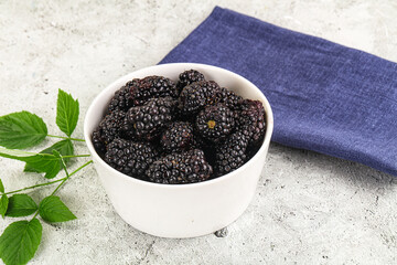 Natural organic sweet ripe blackberry