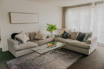 Lounge comfy couch setup with plant in center piece 