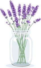 lavender flowers in a vase