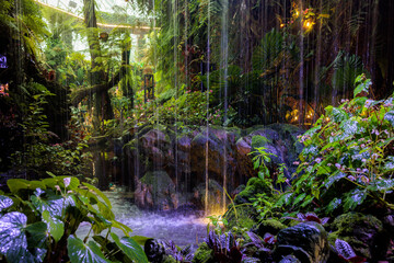 Tiny artificial waterfall ion lush vegetation and illuminated with purple light