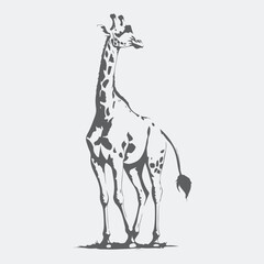 Naklejka premium giraffe vector illustration