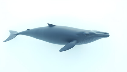 Obraz premium Whale Swimming in Light Blue Underwater Scene