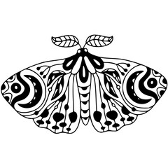 butterfly tattoo vector