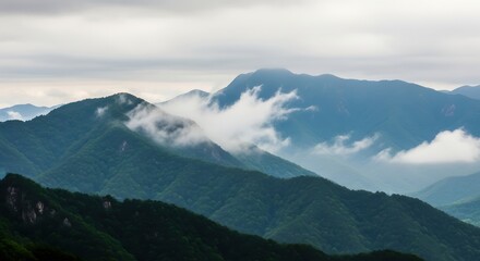 Green Mountain Landscape in the Fog